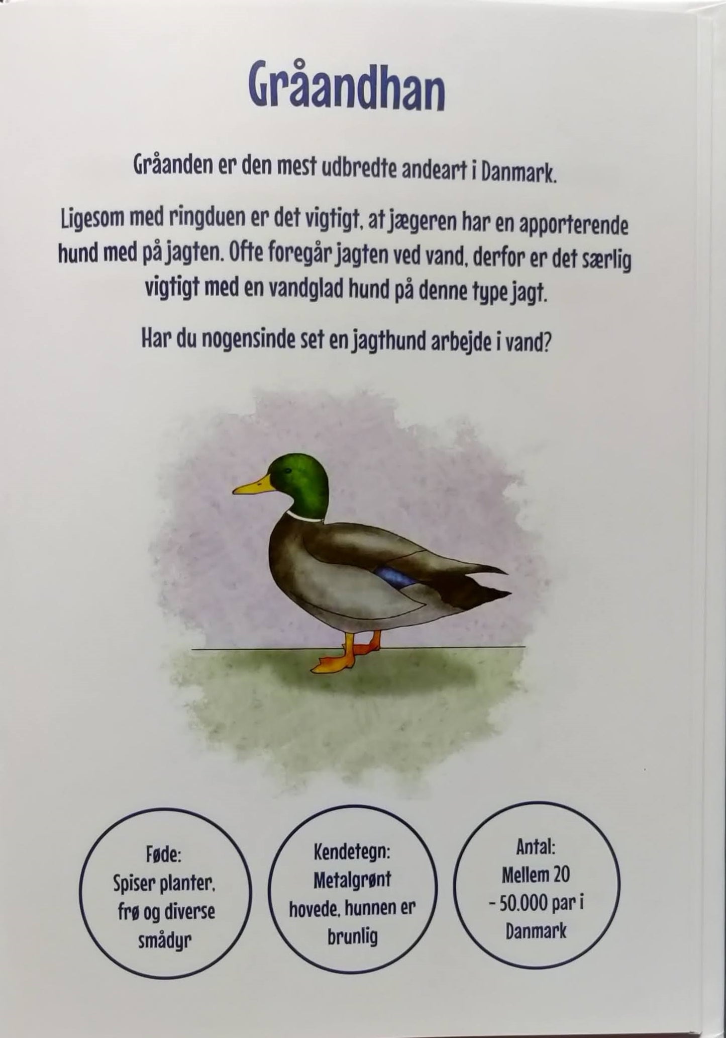 Den framtida jägaren - barnbok