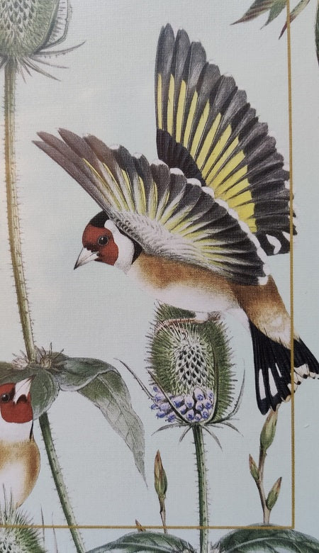 pussel-med-fåglar-1000-bitar