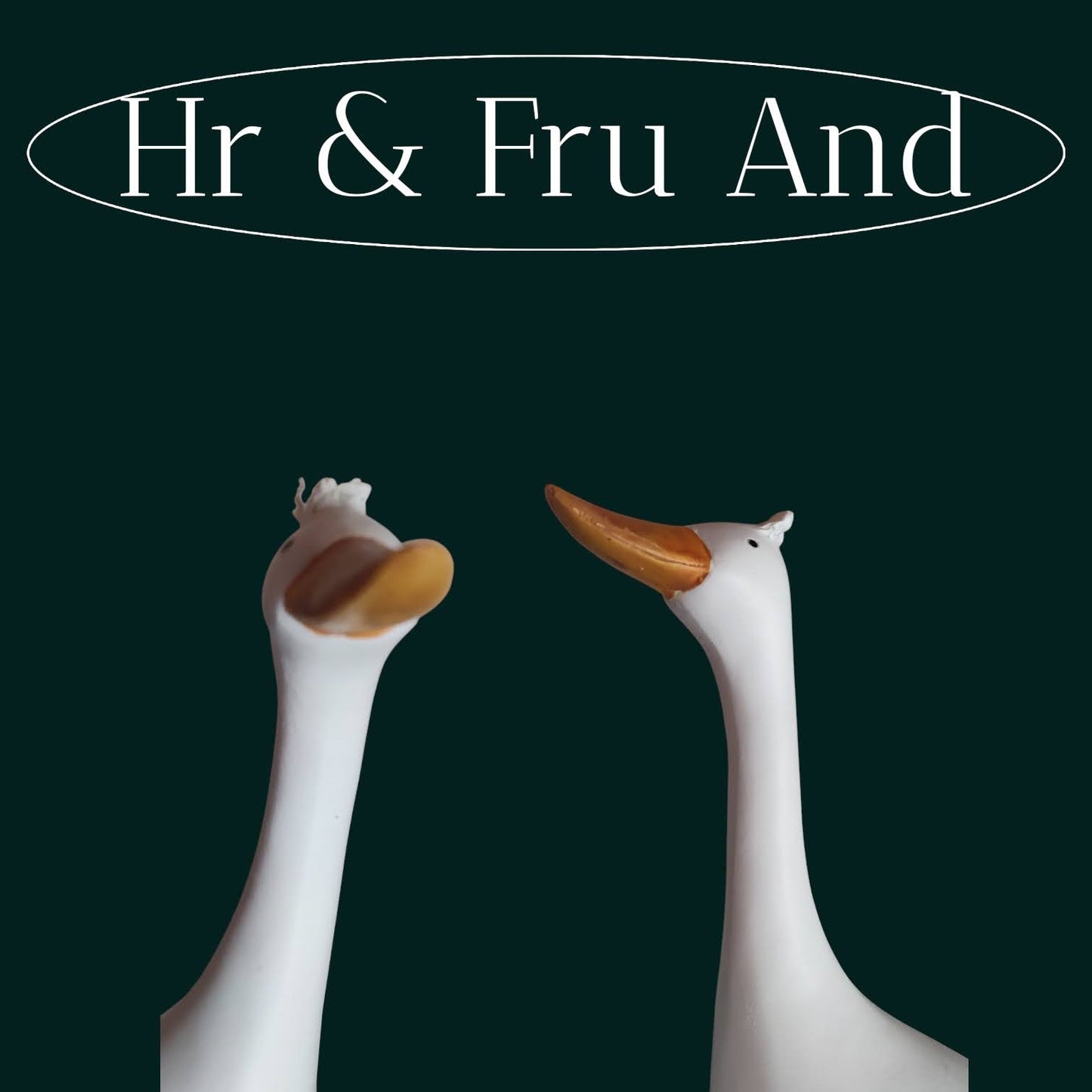 Nærbillede af hvidt andepar