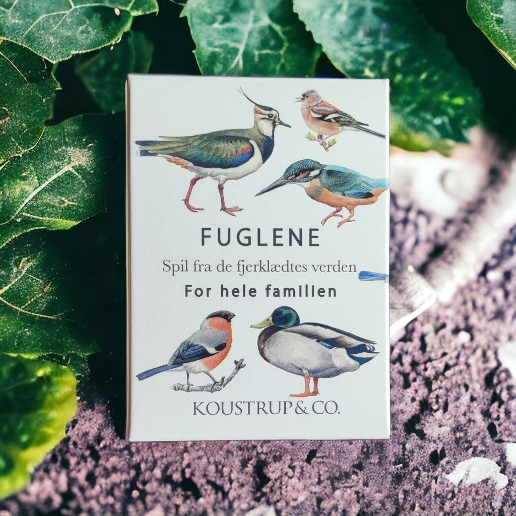 Fågel kortspel