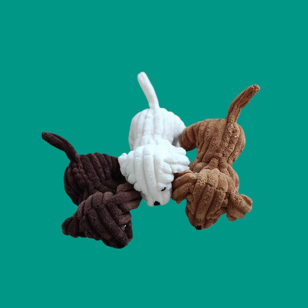 Hund med 3 valpar i magen