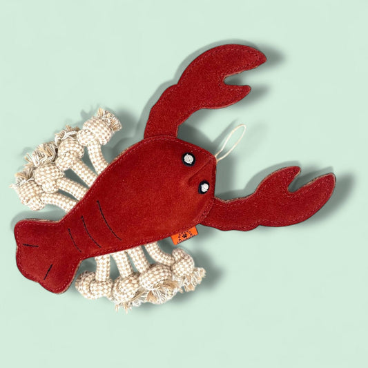 Bitleksak för hunden - robust tuggleksak tillverkad av naturmaterial