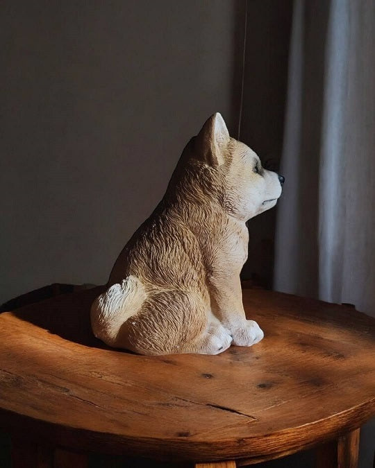 shiba inu hundehvalp sidder ned