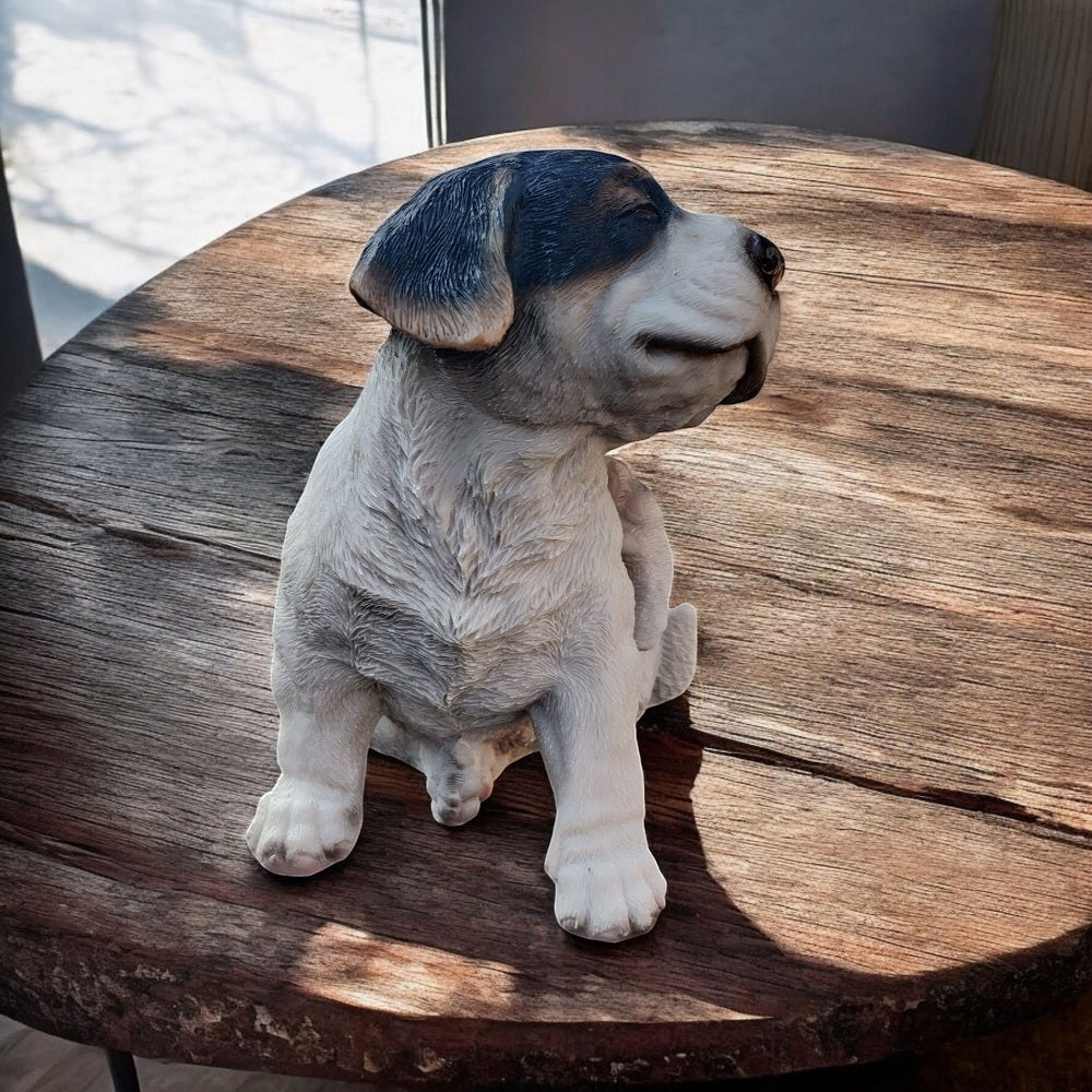 hundehvalp sidder ned og klør sig