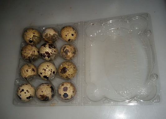 Äggbrickor för jumbo vaktelägg