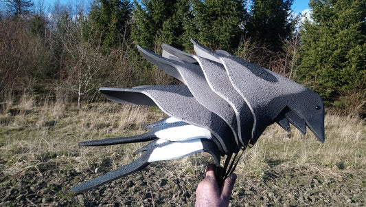 Open Field skata/kråk mix