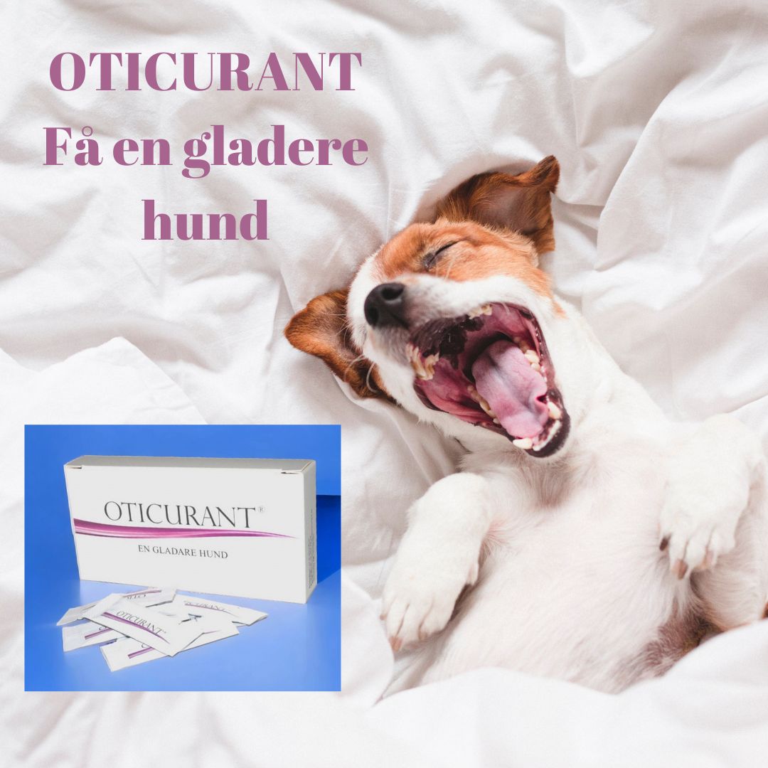 Oticurant - för hundöron