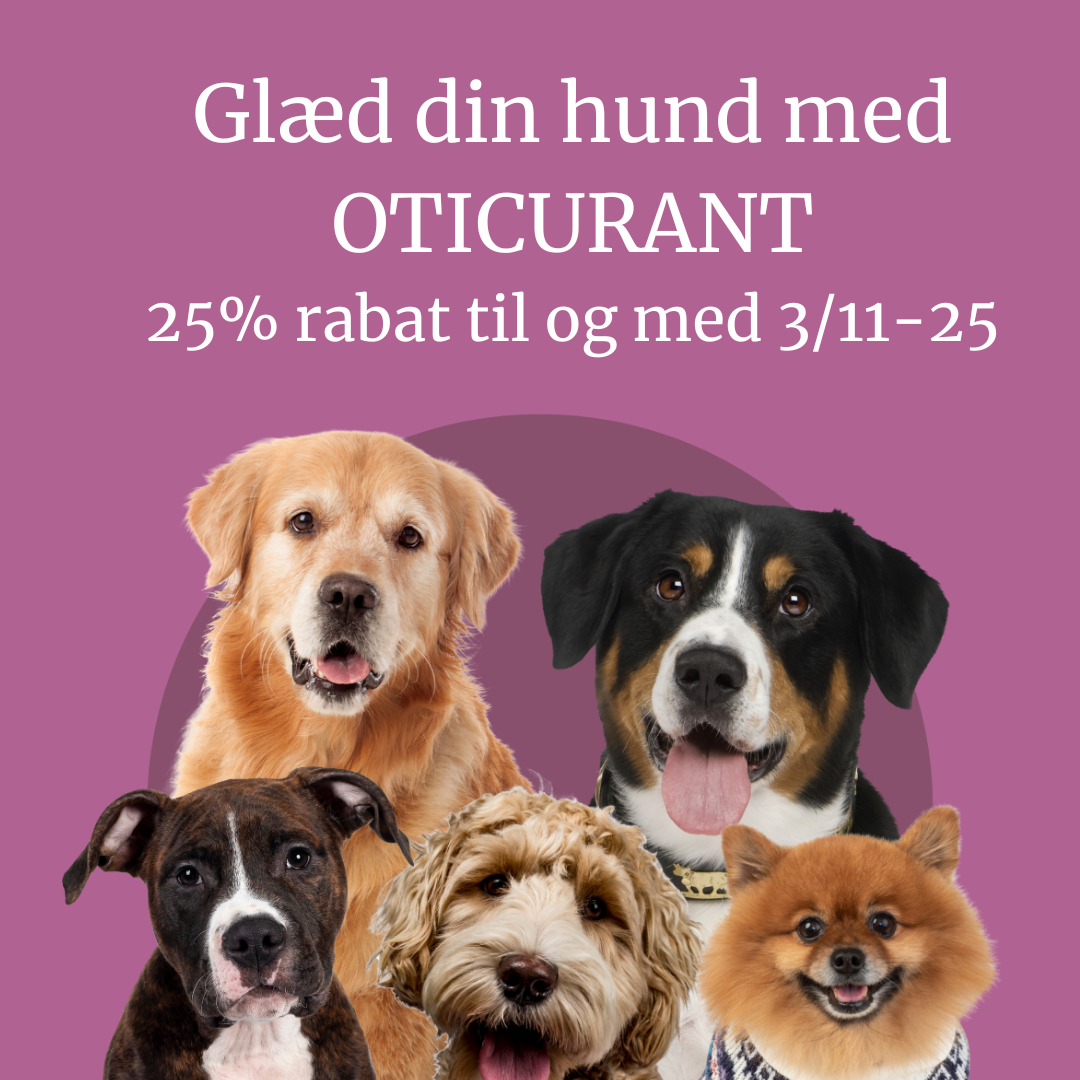 Oticurant - för hundöron