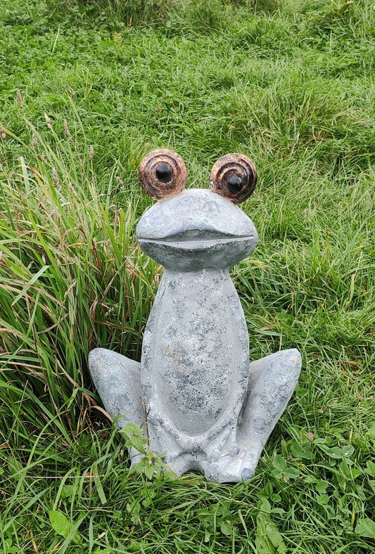 Herr Froggy - groda