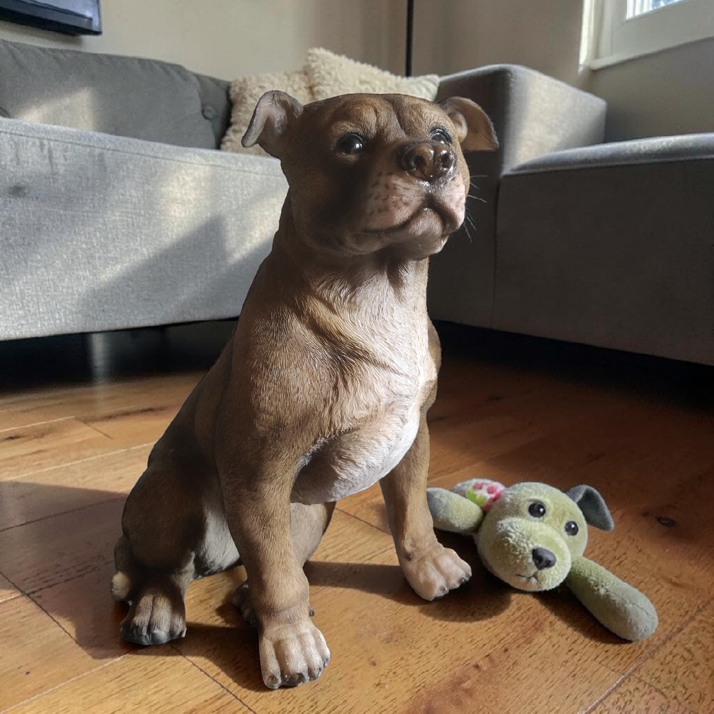 Staffordshire bullterrier