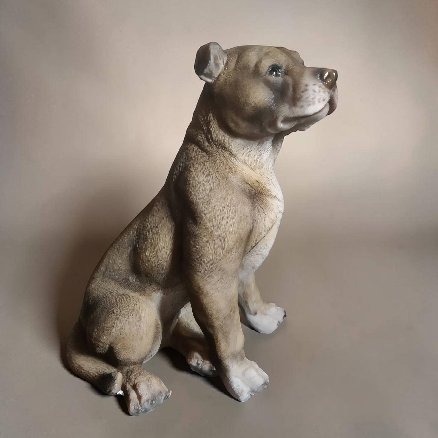 Staffordshire bullterrier