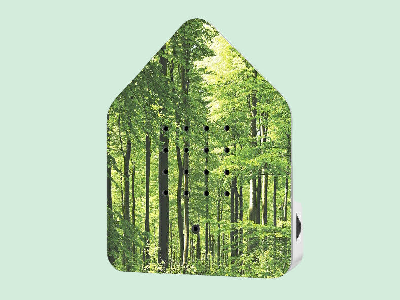 Skovmotiv - Relaxsound