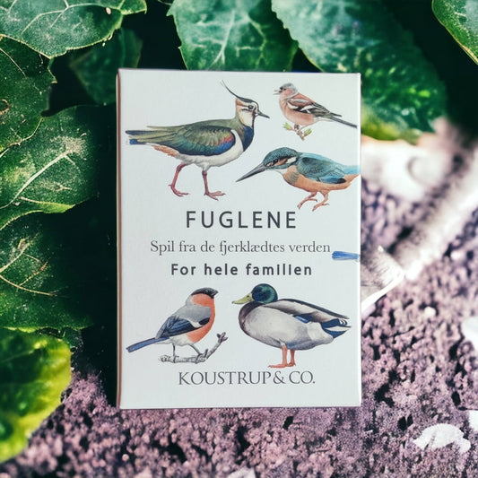 Fågel kortspel