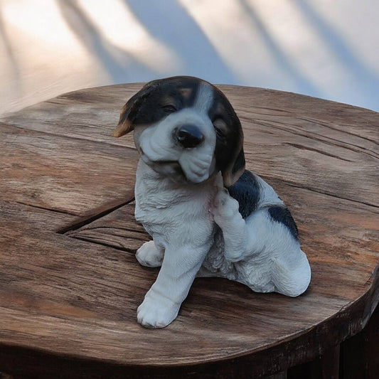 sort og hvid hundehvalp