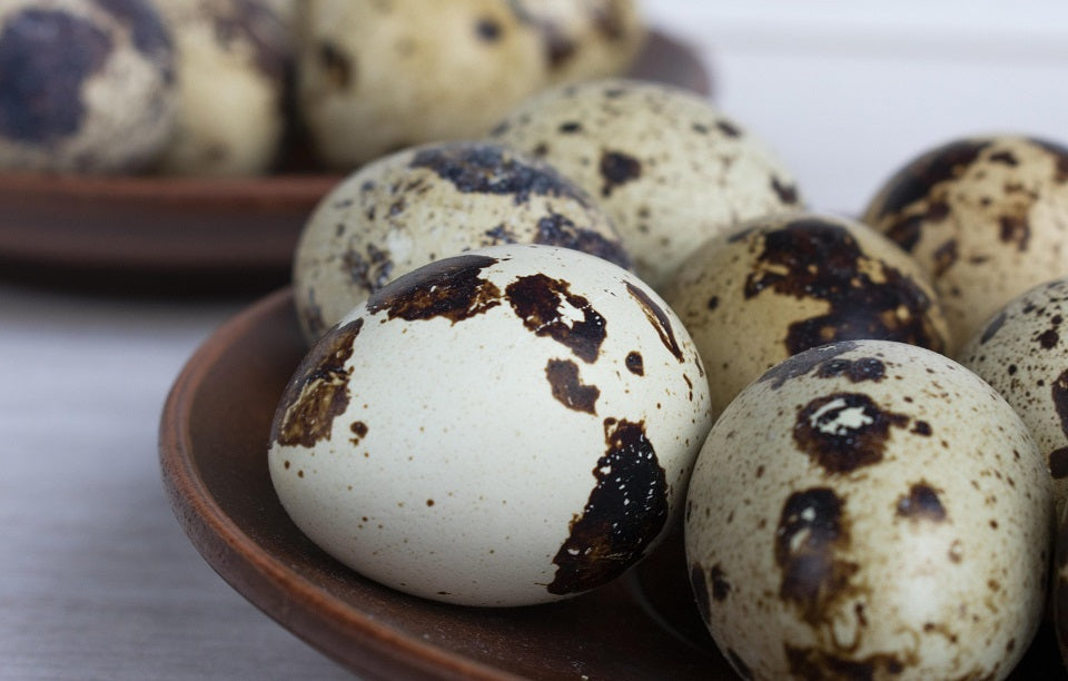 Vaktelägg