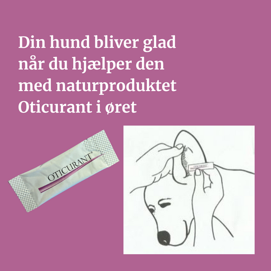 ørerens som pulver