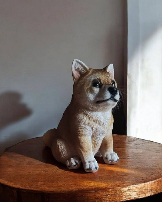 hundehvalp shiba inu siddende