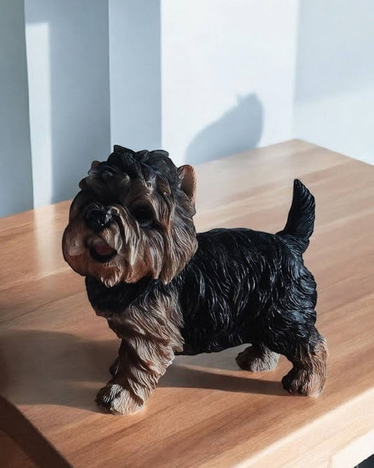 yorkshire terrier står op