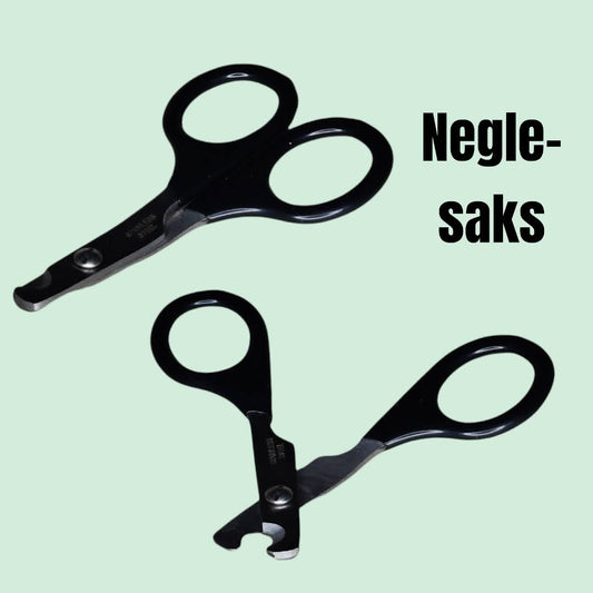 Nagelsax